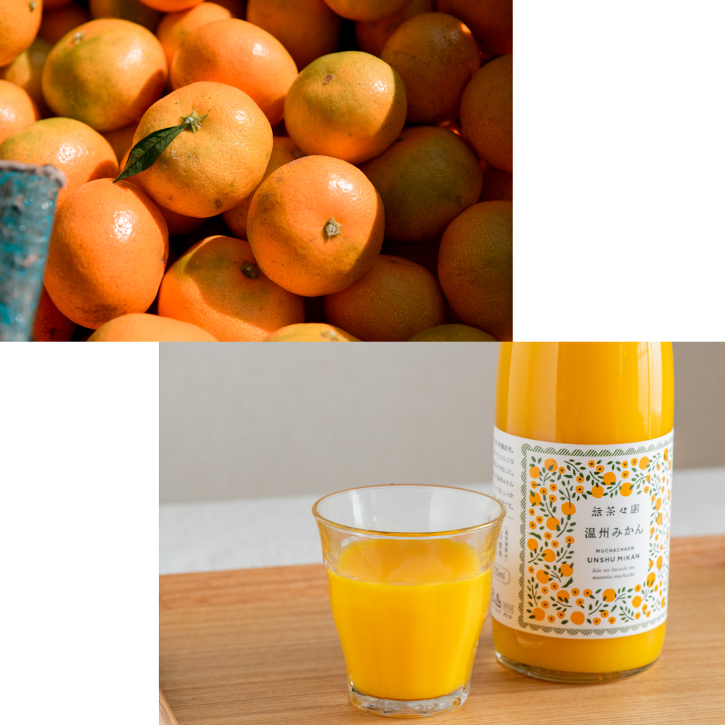無茶々園 3種の柑橘ジュース飲み比べセット 720ml×3本 | アキュア公式