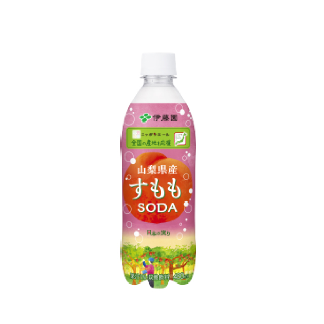 【フードロス】【賞味期限：2026年11月9日】ニッポンエール 山梨県産すももソーダ480ml×24本